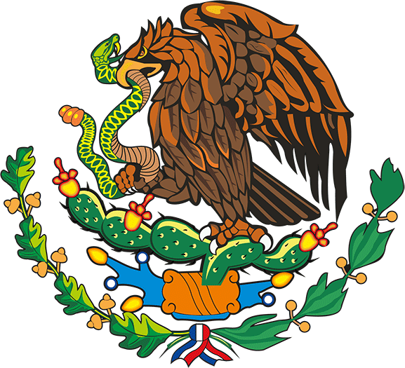 Best IPTV Service in Mexico - TrendyScreen Best IPTV Service in Mexico